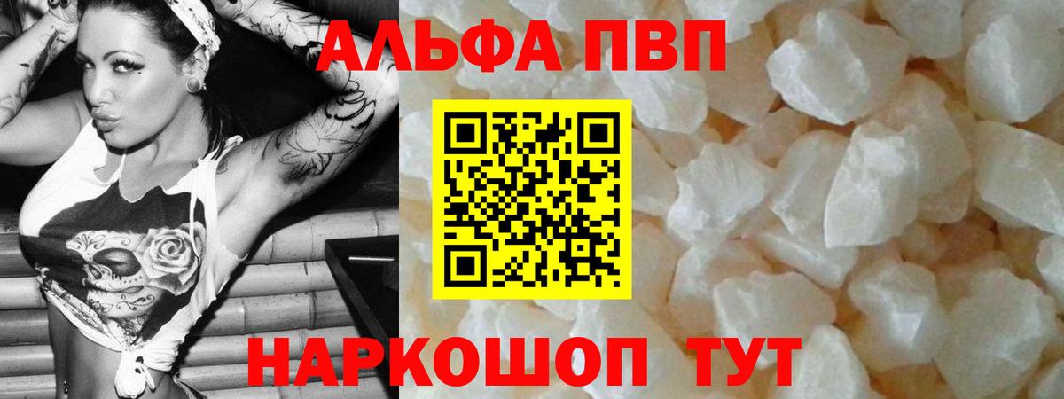 A-PVP СК Сальск